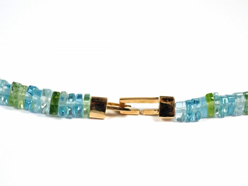 20200402 CollierAquabunt3