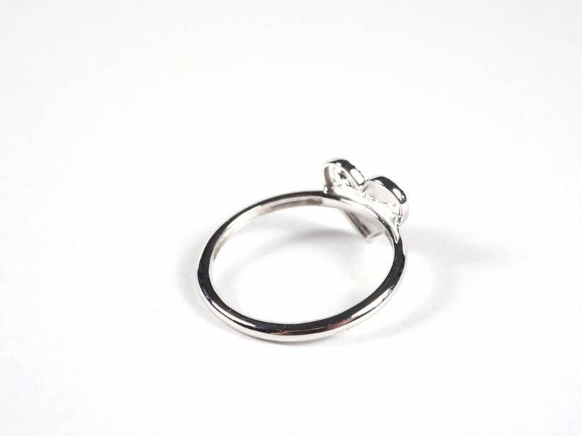 20200405 RingVollherz4