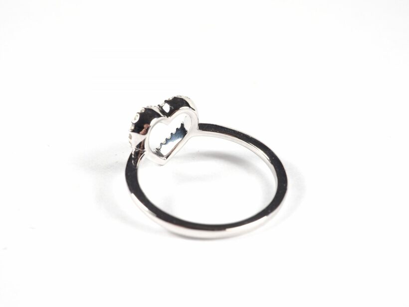 20200405 RingHalbherz4