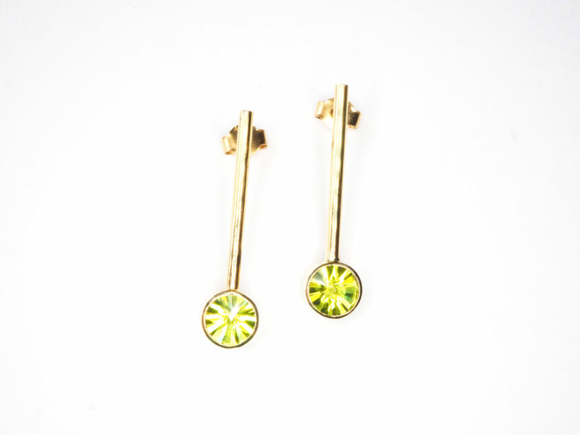 OLYMPUS DIGITAL CAMERA Kiwi 1