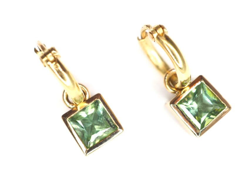 OLYMPUS DIGITAL CAMERA Peppermint4