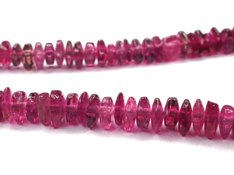 OLYMPUS DIGITAL CAMERA Amarena2