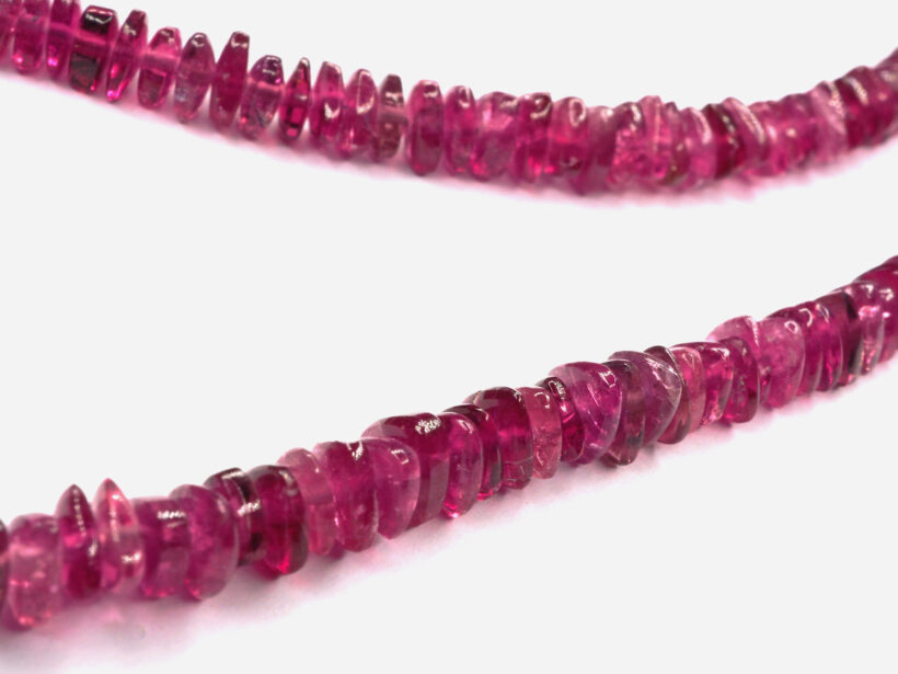 OLYMPUS DIGITAL CAMERA amarena4