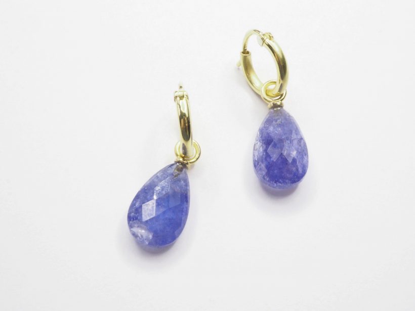 OLYMPUS DIGITAL CAMERA Die Taube 1