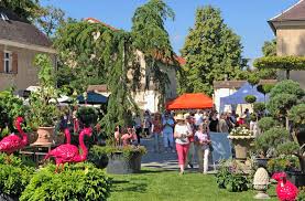 Köfering 2025-01 Köfering 2025-01